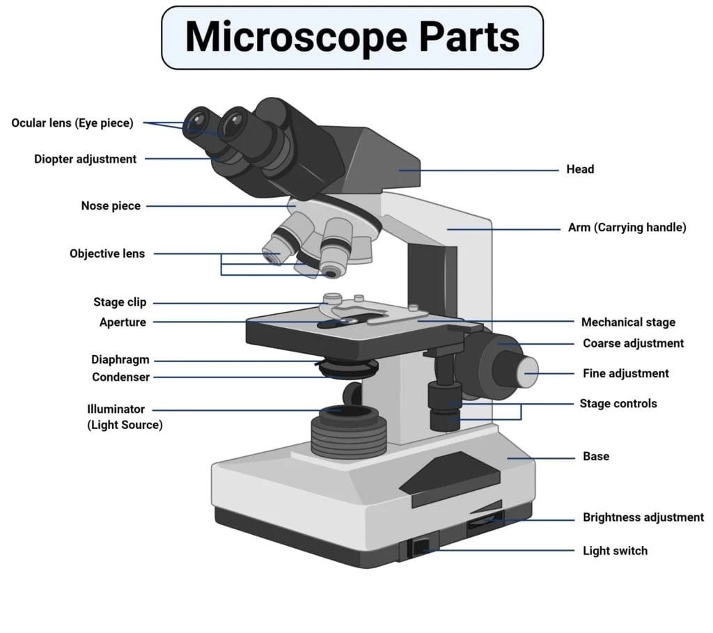 Best Operating Microscope Manufacturers 